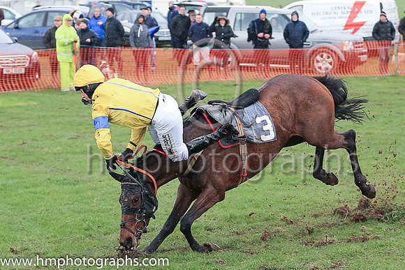 AFAREEN and B O'Neill ( 3 , YELLOW,royal blue seams; yellow sleeves,royal blue armlet; yellow cap ) Trainer: Daniel A. Fitzsimmons , Owner : Taylor, J.J.