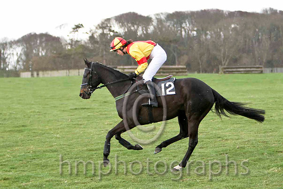 Paddys Angel & Ms K Ferris - joint winner (12, yellow, red cross belts) - FT8E9450-e