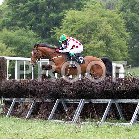 Dunadry Girl , PU, Jockey - J A Jenkins - FT8E2663-e