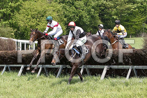First Race - Pollard (13), Bravo Riquet (3) 4th & Gurrawn (10)  CU2D9520-e