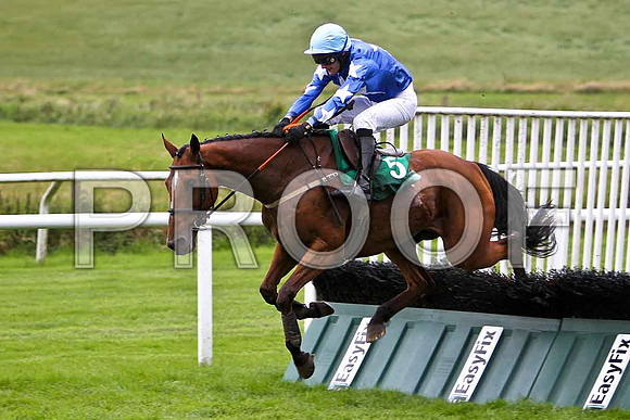 Don't Stop Now 12th, Jockey Mr D Macauley - CU2D0867-e
