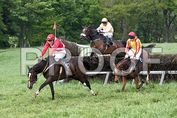 Fifth Race Div 1 - Carlinty (16) Winner, Rider W Thompson, Lady Shirley (6) 3rd, Rider B G Crawford & The Wee Girl (8) 2nd C McNally  - CU2D9663-e