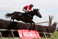 Traad Bay , 4th, Jockey - W Thompson - CU2D4560-e