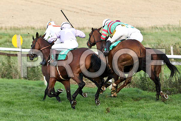 Cooper's Dream 5th , USA - 8th, Thirteen Up 7th & Maccas Lad - 4th - FT8E5105-e