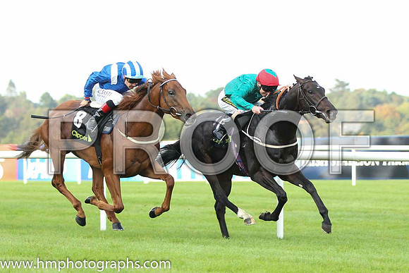 02 Mustajeeb and P J Smullen - - 02nd (8 ,royal blue, white epaulettes ) Trainer -   01 Bow Creek and J Fanning - - 01st (6 ,dark green, red cap ) Trainer - M Johnston