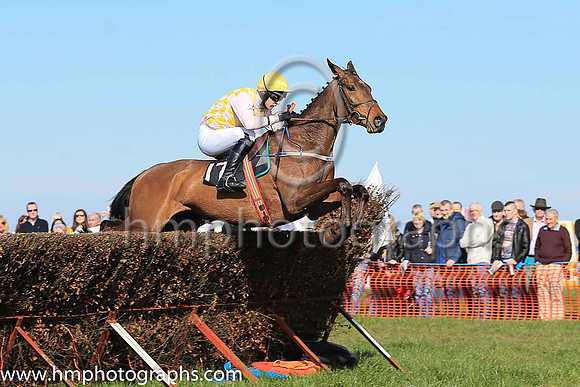 04th HOME PLACE and M J O'Hare ( 17 , PINK  YELLOW CHECK; pink sleeves; yellow cap ) Trainer: Warren Ewing,, Owner : Warren Ewing