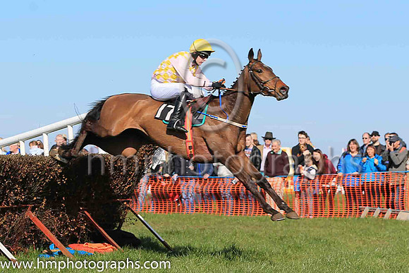 04th HOME PLACE and M J O'Hare ( 17 , PINK  YELLOW CHECK; pink sleeves; yellow cap ) Trainer: Warren Ewing,, Owner : Warren Ewing