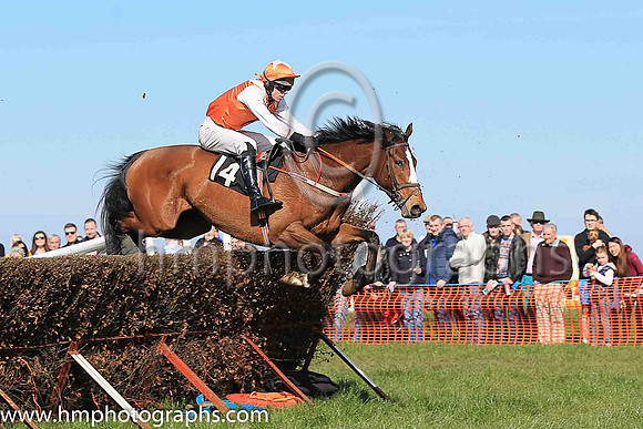 03rd JOHNNY YUMA and J P O'Rourke ( 14 , ORANGE,white epaulettes; white sleeves; orange cap,white star ) Trainer: Denis Paul Murphy,, Owner : Maria Byrne