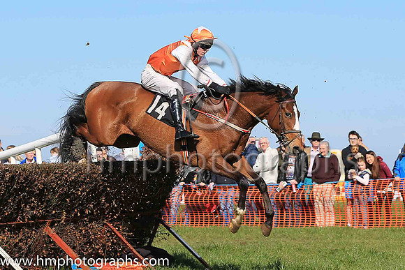 03rd JOHNNY YUMA and J P O'Rourke ( 14 , ORANGE,white epaulettes; white sleeves; orange cap,white star ) Trainer: Denis Paul Murphy,, Owner : Maria Byrne