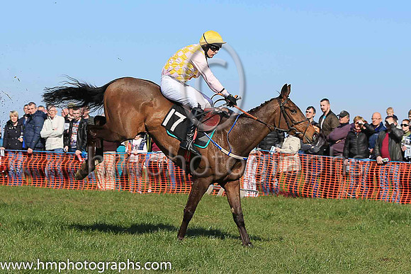 04th HOME PLACE and M J O'Hare ( 17 , PINK  YELLOW CHECK; pink sleeves; yellow cap ) Trainer: Warren Ewing,, Owner : Warren Ewing