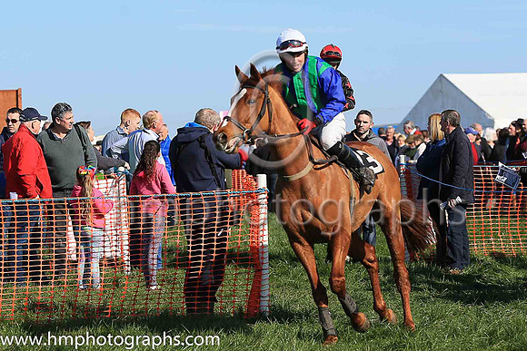 DESIGN PLAN and J Cresswell ( 13 , DARK BLUE  EMERALD GREEN STRIPES; dark blue sleeves; white cap ) Trainer: Ann Hunter , Owner : Ann Hunter