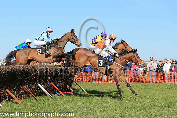 CALISSON D'ALENE (FR) and J P O'Rourke ( 3 , ORANGE,white epaulettes; white sleeves; orange cap,white star ) Trainer: Denis Paul Murphy , Owner : Maria Byrne