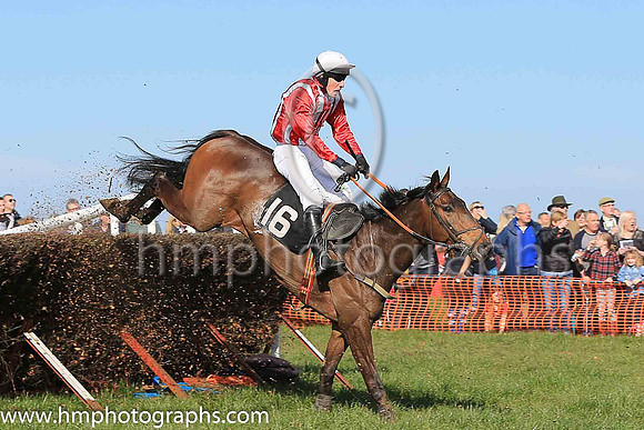 02nd HOLLYBANK KING and N McConville ( 16 , RED  WHITE STRIPES; red sleeves; white cap ) Trainer: Stephen McConville , Owner : Michael McConville