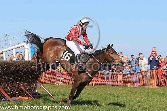 02nd HOLLYBANK KING and N McConville ( 16 , RED  WHITE STRIPES; red sleeves; white cap ) Trainer: Stephen McConville , Owner : Michael McConville