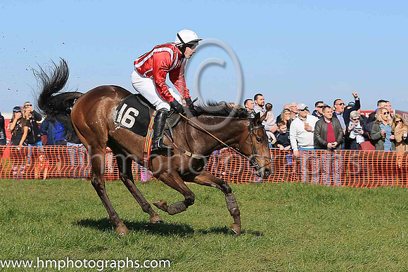 02nd HOLLYBANK KING and N McConville ( 16 , RED  WHITE STRIPES; red sleeves; white cap ) Trainer: Stephen McConville , Owner : Michael McConville