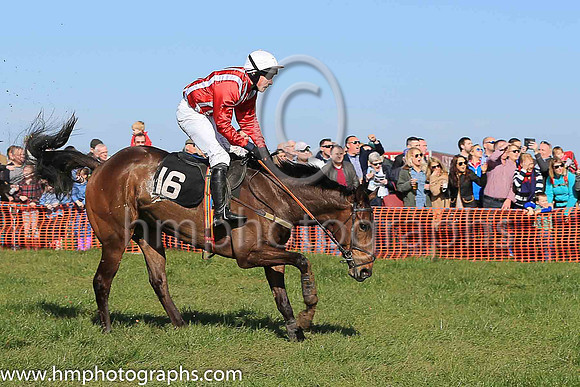 02nd HOLLYBANK KING and N McConville ( 16 , RED  WHITE STRIPES; red sleeves; white cap ) Trainer: Stephen McConville , Owner : Michael McConville