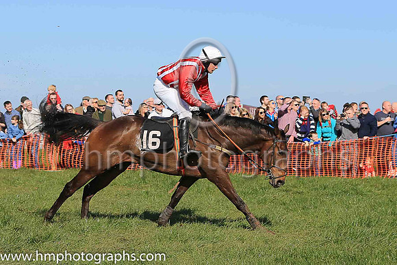 02nd HOLLYBANK KING and N McConville ( 16 , RED  WHITE STRIPES; red sleeves; white cap ) Trainer: Stephen McConville , Owner : Michael McConville