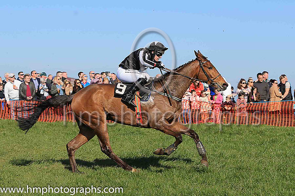 03rd NOBODYDOESITBETTER (GB) and R James ( 9 , BLACK,white disc; black  white striped sleeves; black cap,white star ) Trainer: Colin S. McKeever , Owner : Colin S. McKeever