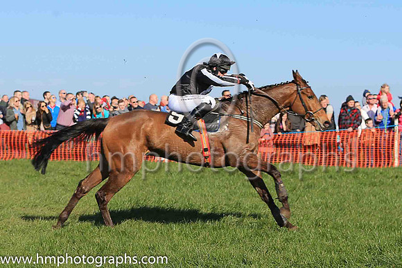 03rd NOBODYDOESITBETTER (GB) and R James ( 9 , BLACK,white disc; black  white striped sleeves; black cap,white star ) Trainer: Colin S. McKeever , Owner : Colin S. McKeever