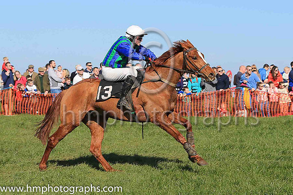 DESIGN PLAN and J Cresswell ( 13 , DARK BLUE  EMERALD GREEN STRIPES; dark blue sleeves; white cap ) Trainer: Ann Hunter , Owner : Ann Hunter