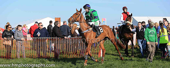 LISGLASS and D G Lavery ( 8 , GREEN,navy chevron; green sleeves,navy armlet; navy cap ) Trainer: James A. Jenkins , Owner : James A. Jenkins