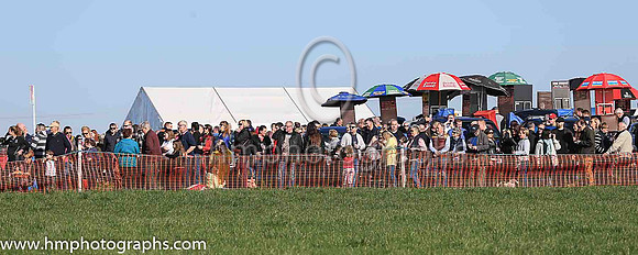 Crowd at Portrush P2P