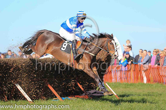 02nd LITTLE MILLIE and A J Fox ( 9 , ROYAL BLUE,white hoop; royal blue  white hooped sleeves; royal blue  white hooped cap ) Trainer: Matthew G. Quinn , Owner : John A. McNally