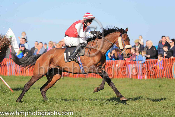 SAWEL and P McGuigan ( 11 , RED; white sleeves; red  white hooped cap ) Trainer: Kieran O'Brien,, Owner : Noel McGuigan