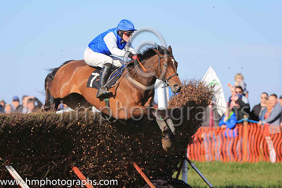 LILY'S GOT WINGS and J Cresswell ( 7 , ROYAL BLUE; white sleeves; royal blue cap ) Trainer: Neil McKnight , Owner : Norman McKnight