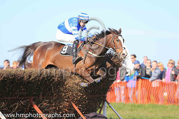 02nd LITTLE MILLIE and A J Fox ( 9 , ROYAL BLUE,white hoop; royal blue  white hooped sleeves; royal blue  white hooped cap ) Trainer: Matthew G. Quinn , Owner : John A. McNally