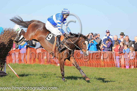 02nd LITTLE MILLIE and A J Fox ( 9 , ROYAL BLUE,white hoop; royal blue  white hooped sleeves; royal blue  white hooped cap ) Trainer: Matthew G. Quinn , Owner : John A. McNally