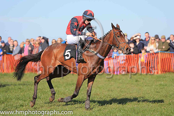 COURT IN FLIGHT and S P Kelly ( 5 , RED,black triple diamond; black sleeves,red stars; black cap,red star ) Trainer: Ben Arthey,, Owner : Ben Arthey