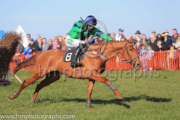 LISGLASS and D G Lavery ( 8 , GREEN,navy chevron; green sleeves,navy armlet; navy cap ) Trainer: James A. Jenkins , Owner : James A. Jenkins