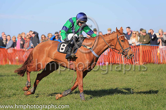 LISGLASS and D G Lavery ( 8 , GREEN,navy chevron; green sleeves,navy armlet; navy cap ) Trainer: James A. Jenkins , Owner : James A. Jenkins