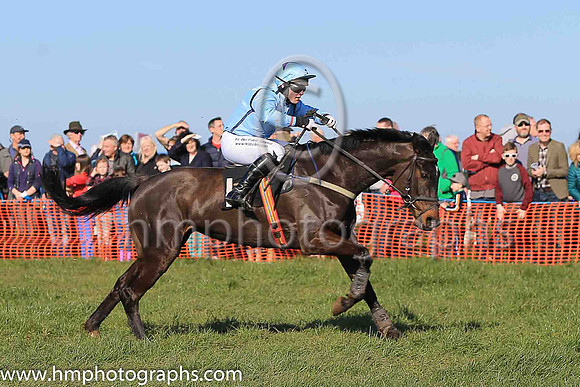 04th CRAWFORDS MILL and R James ( 1 , LIGHT BLUE,navy seams; light blue sleeves; light blue cap,purple star ) Trainer: S.R.B. Crawford , Owner : S.R.B. Crawford
