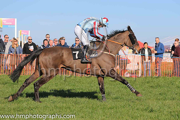 02nd RED DEVIL BOYS and R James ( 7 , LIGHT BLUE,maroon star; light blue  maroon striped sleeves; light blue cap,maroon star ) Trainer: D.M. Christie , Owner : S.J. Hegarty