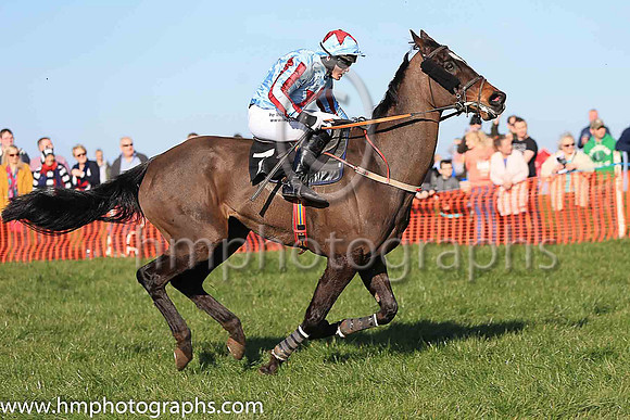 02nd RED DEVIL BOYS and R James ( 7 , LIGHT BLUE,maroon star; light blue  maroon striped sleeves; light blue cap,maroon star ) Trainer: D.M. Christie , Owner : S.J. Hegarty