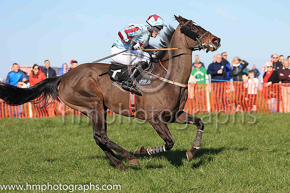 02nd RED DEVIL BOYS and R James ( 7 , LIGHT BLUE,maroon star; light blue  maroon striped sleeves; light blue cap,maroon star ) Trainer: D.M. Christie , Owner : S.J. Hegarty