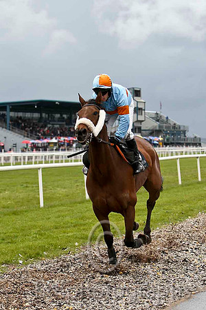 King of the Refs & P Carberry ( light blue , orange hoop) - 9th - FT8E2869-e
