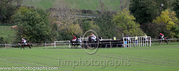 Race 5 County Down Hounds P2P at Loughbrickland