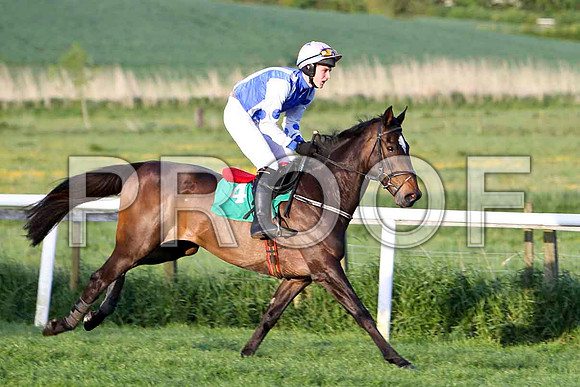 Curragh Boy , 10th, Jockey - Mr T A Dolan - FT8E3142-e