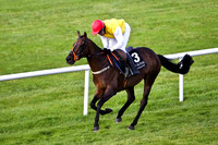 Golden Grimshaw , winner  - Jockey B J Geraghty - CU2D2031-e