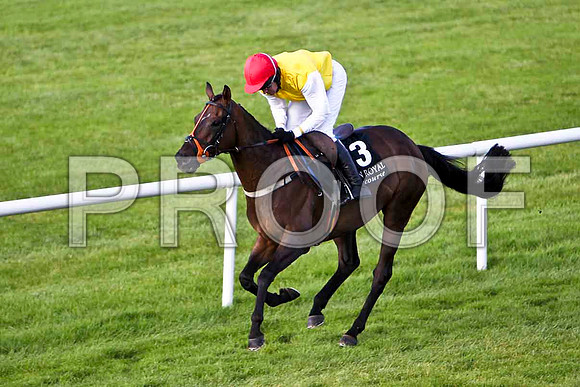 Golden Grimshaw , winner  - Jockey B J Geraghty - CU2D2031-e