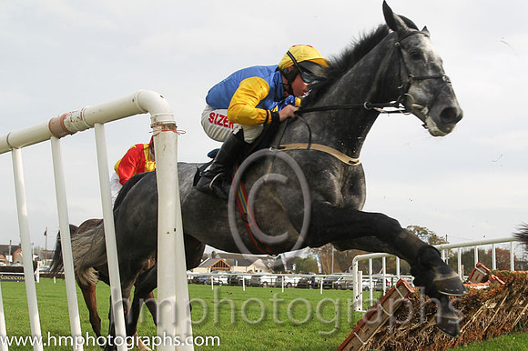 12 Young Palm and A E Lynch - - 12th (2 ,dark blue, yellow diamond sleeves ) Trainer - S R B Crawford