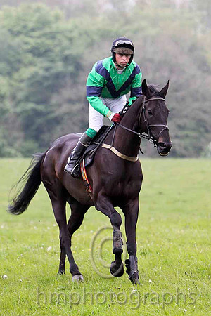 Teluel , 8th, Jockey J A Jenkins - FT8E2795-e