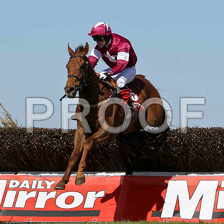 Politeo - Winner, Jockey M N Doran -FT8E2222-e2