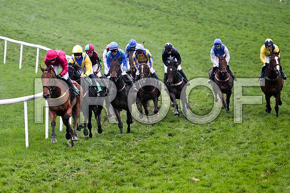 Griesenau in the lead, Jockey Miss N Carberry , 3rd - FT8E5545-e
