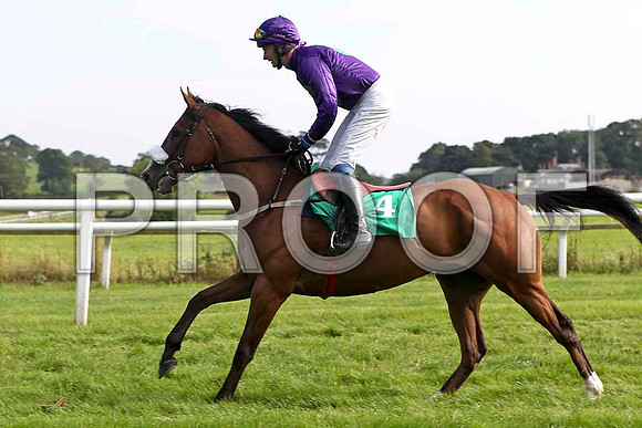 Lord Friday 4th, Jockey Mr M Fahey - FT8E3164-e