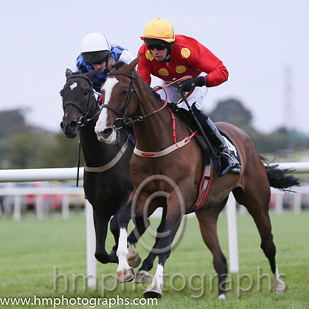 01 Our Sox and Mr S Clements - - 01st (4 ,red, yellow stars ) "