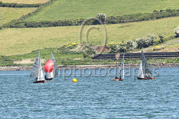 3rd, Gold, 14277, Curly Morris & Meg Tyrrell, EABC/NSC - 8, 3, 5, 4, 4, (13) - Total = 37, Nett = 24